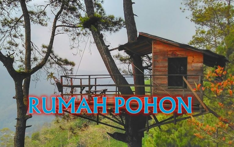 Rumah Pohon