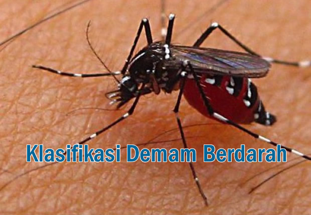Klasifikasi Deman Berdarah Dengue