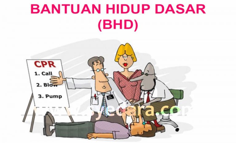 bantuan-hidup-dasar