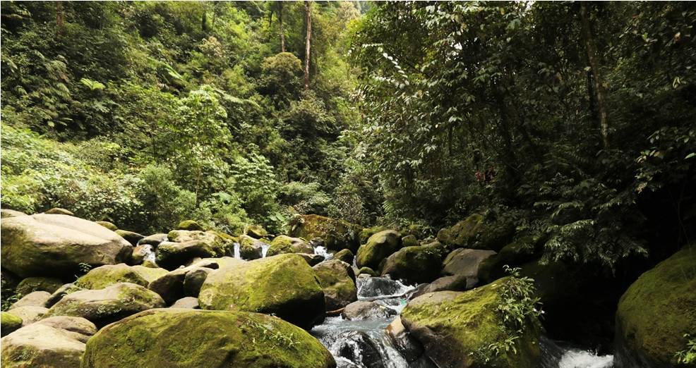 Konsep lingkungan hidup dan pelestarian
